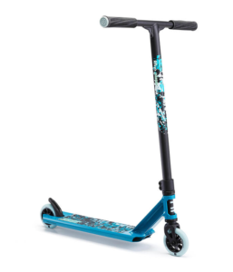 scoter